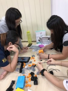 12151950041570169930